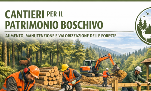 Avviso