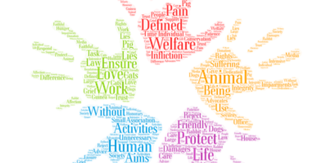 volontariato